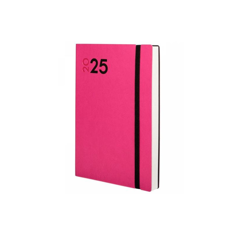 621164525 FINOCAM AGENDA ANUAL DYNAMIC MARA Y10-140X204MM 1DP FUCSIA 2025