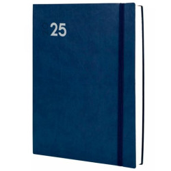 621181025 FINOCAM AGENDA ANUAL DYNAMIC MARA Y12-210X270MM 1DP AZUL 2025