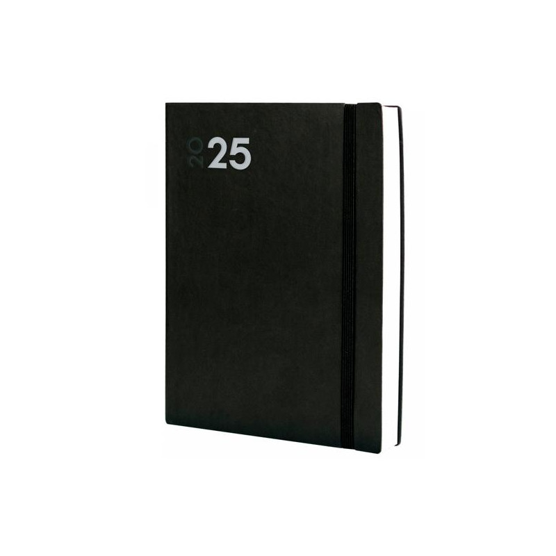 621186025 FINOCAM AGENDA ANUAL DYNAMIC MARA Y12-210X270MM 1DP NEGRO 2025