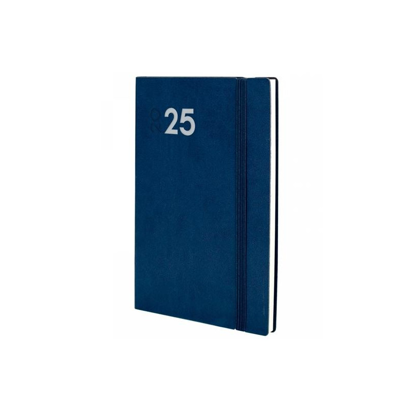 622701025 FINOCAM AGENDA ANUAL DYNAMIC MARA Y10-140X204MM SVH AZUL 2025