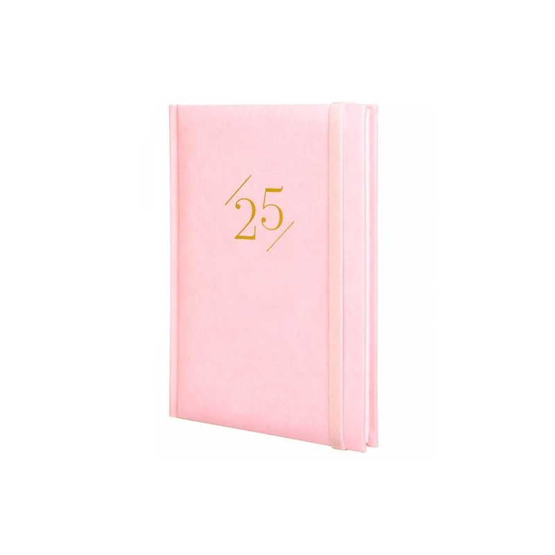 625300325 FINOCAM AGENDA ANUAL DYNAMIC LONDON Y10-140X204MM SVV ROSA 2025