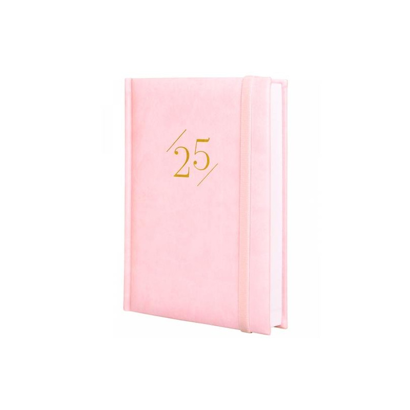 625320325 FINOCAM AGENDA ANUAL DYNAMIC LONDON Y10-140X204MM 1DP ROSA 2025