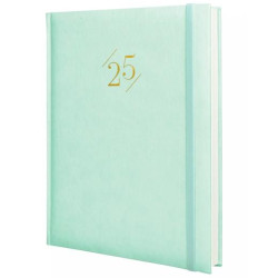 625350425 FINOCAM AGENDA ANUAL DYNAMIC LONDON Y12-210X270MM 1DP MENTA 2025