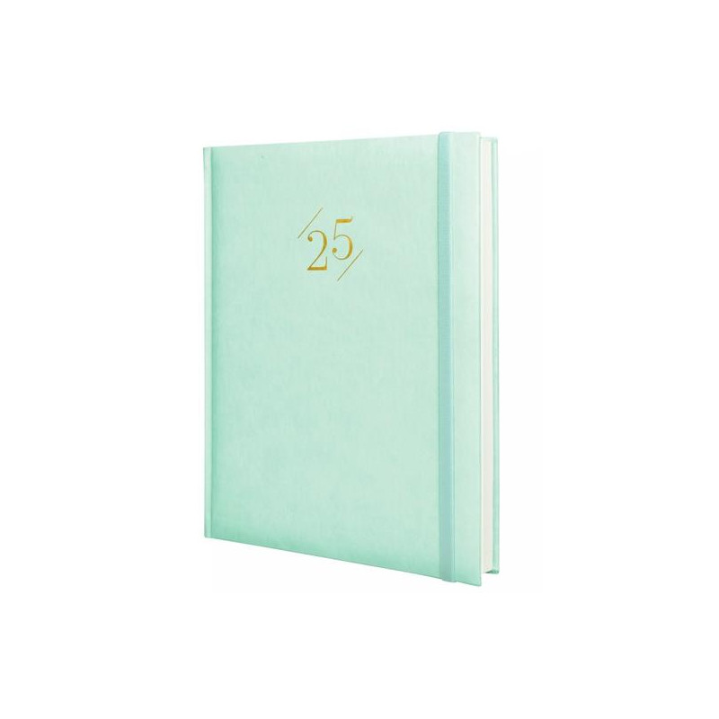 625350425 FINOCAM AGENDA ANUAL DYNAMIC LONDON Y12-210X270MM 1DP MENTA 2025