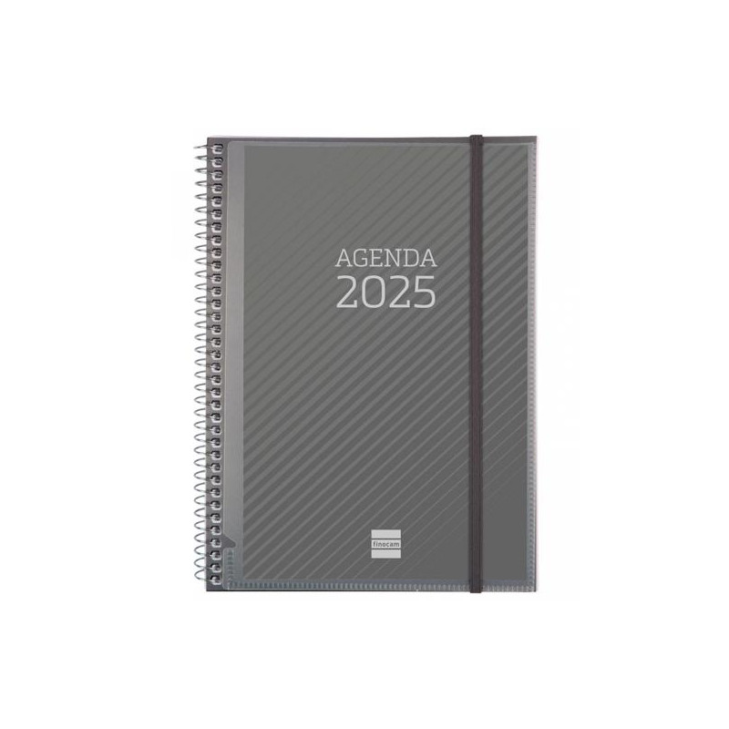 741680025 FINOCAM AGENDA ANUAL PERSONALIZABLE ESPIRAL E10-155X212MM SVH BASICS 2025