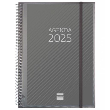 741680025 FINOCAM AGENDA ANUAL PERSONALIZABLE ESPIRAL E10-155X212MM SVH BASICS 2025