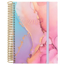 742312625 FINOCAM AGENDA ANUAL DESIGN COLLECTION ESPIRAL E10-155X212MM 1DP GOLDY 2025