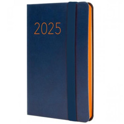 883301025 FINOCAM AGENDA ANUAL FLEXI LISA F2-82X127MM SVH AZUL 2025