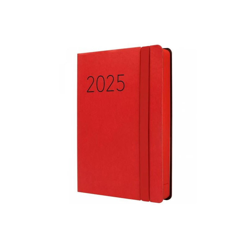 883383025 FINOCAM AGENDA ANUAL FLEXI LISA F4-118X168MM 1DP ROJO 2025