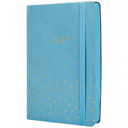 883600125 FINOCAM AGENDA ANUAL FLEXI JOY FA5-148X210MM 1DP CONFETI 2025