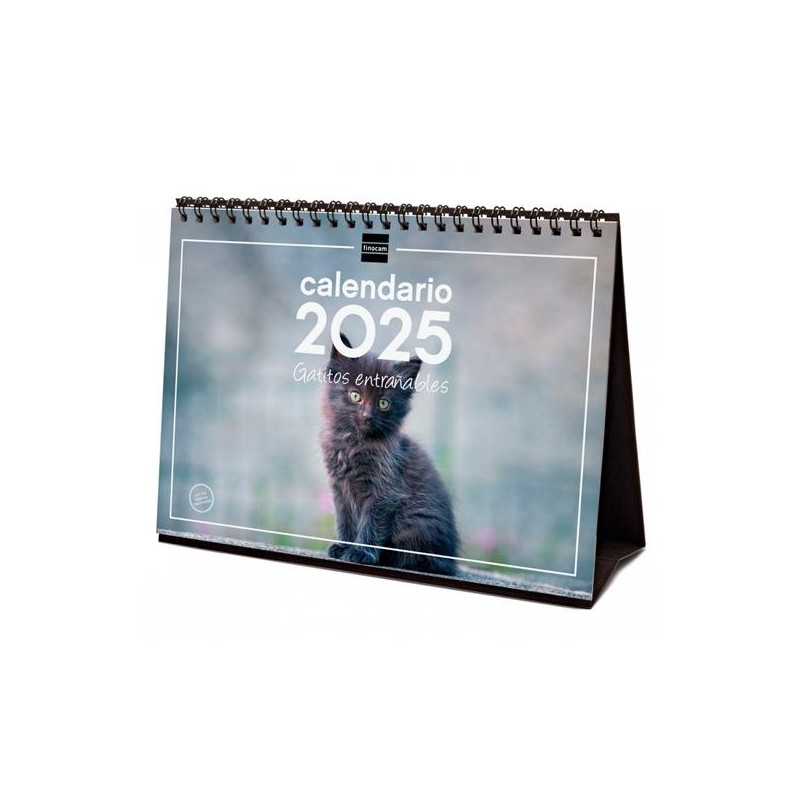 780323825 FINOCAM CALENDARIO DE SOBREMESA PARA ESCRIBIR S-210X150MM IMÁGENES GATITOS 2025