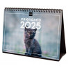 780323825 FINOCAM CALENDARIO DE SOBREMESA PARA ESCRIBIR S-210X150MM IMÁGENES GATITOS 2025