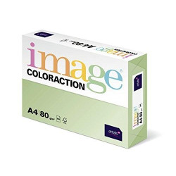 284973 IMAGE PAPEL REPROGRÁFICO COLORACTION DIN A4 80GR PAQUETE 500H JUNGLE/VERDE PASTEL -CAJA 5 UD-