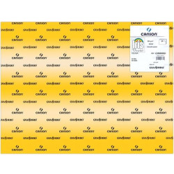 C200005821 IRIS CARTULINA 50X65CM 280GR ORO -25U-