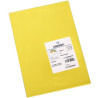 C200040155 IRIS CARTULINA 210X297MM 185GR AMARILLO CANARIO -50U-