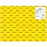 C200040221 IRIS CARTULINA 50X65CM 185GR AMARILLO CANARIO -25U-