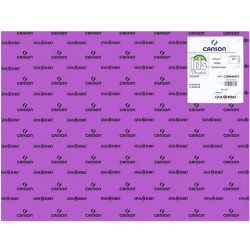 C200040231 IRIS CARTULINA 50X65CM 185GR VIOLETA -25U-