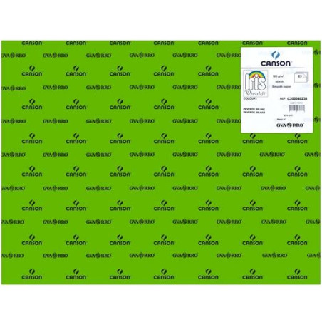 C200040238 IRIS CARTULINA 50X65CM 185GR VERDE BILLAR -25U-