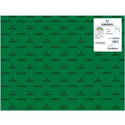 C200040240 IRIS CARTULINA 50X65CM 185GR VERDE AMAZONAS -25U-