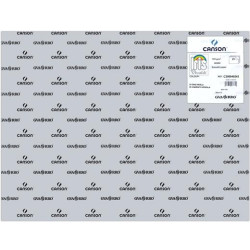 C200040243 IRIS CARTULINA 50X65CM 185GR GRIS PERLA -25U-