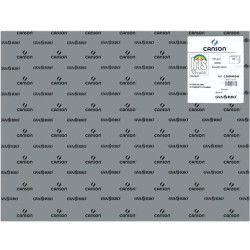 C200040244 IRIS CARTULINA 50X65CM 185GR GRIS PLOMO -25U-