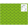 C200040382 IRIS CARTULINA 50X65CM 240GR VERDE BILLAR -25U-