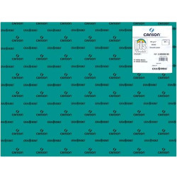 C400080160 IRIS CARTULINA 50X65CM 185GR VERDE MENTA -25U-