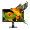 NXM24REG02 NILOX MONITOR DESKTOP VA LED 24"  FHD