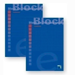 18705 PACSA BLOC EXAMEN 50H A4 60GR 4X4MM ENCOLADO