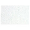 F42450700 SADIPAL CARTULINA LR 220 TEXTURIZADA 50X70CM BLANCO