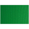 F42450711 SADIPAL CARTULINA LR 200 TEXTURIZADA 50X70CM VERDE