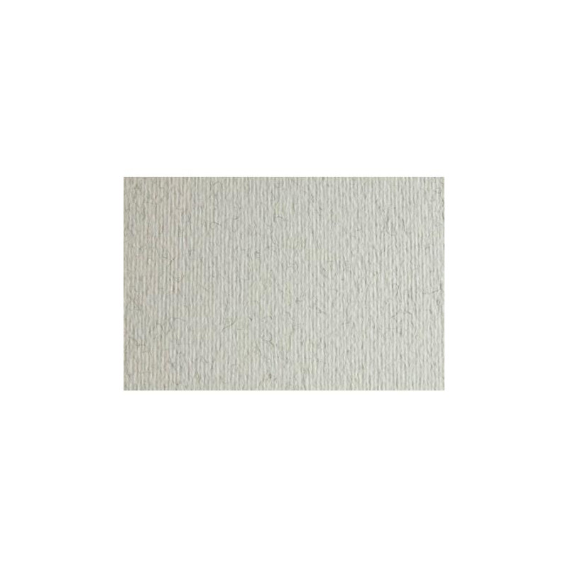 F42450729 SADIPAL CARTULINA LR 220 TEXTURIZADA 50X70CM BRINA ESCARCHA