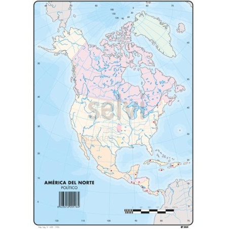 516 SELVI MAPA MUDO POLÍTICO DE AMERICA DEL NORTE A4 -50U-