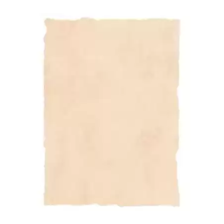 2601229 MICHEL PERGAMINO TROQUELADO 200GR A4 PACK 25U BEIGE