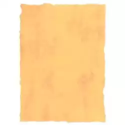 2602229 MICHEL PERGAMINO TROQUELADO 200GR A4 PACK 25U AMARILLO