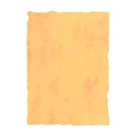 2602229 MICHEL PERGAMINO TROQUELADO 200GR A4 PACK 25U AMARILLO