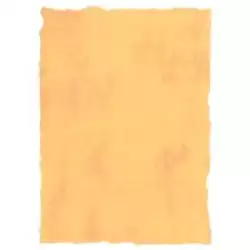 2602242 MICHEL PERGAMINO TROQUELADO 200GR A3 PACK 25U AMARILLO