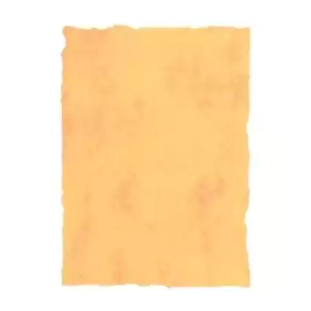 2602242 MICHEL PERGAMINO TROQUELADO 200GR A3 PACK 25U AMARILLO