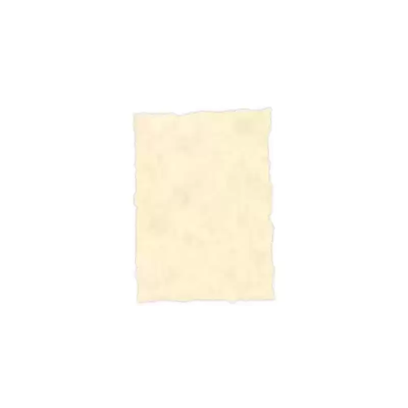 2604229 MICHEL PERGAMINO TROQUELADO 150GR A4 PACK 25U TOPACIO