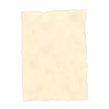 2604229 MICHEL PERGAMINO TROQUELADO 150GR A4 PACK 25U TOPACIO