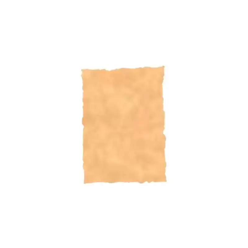 2605229 MICHEL PERGAMINO TROQUELADO 150GR A4 PACK 25U OCRE