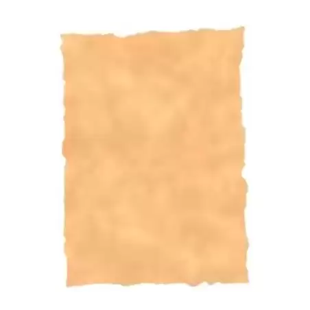 2605229 MICHEL PERGAMINO TROQUELADO 150GR A4 PACK 25U OCRE