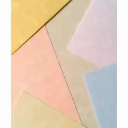 9918229 MICHEL PAPEL PARCHMENT 180GR A4 PACK 100U BLANCO