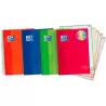 100430279 OXFORD CUADERNO CLASSIC EUROPEANBOOK 5 WRITE&ERASE 120H  A4+ 5X5 MICROPERFORADO T/EXTRADURA C/SURTIDOS VIVOS