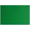F42450711 SADIPAL CARTULINA LR 200 TEXTURIZADA 50X70CM VERDE