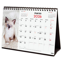 780323826 FINOCAM CALENDARIO DE SOBREMESA PARA ESCRIBIR S-210X150MM MV IMÁGENES GATITOS 2026