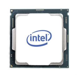 Procesador INTEL Xenon E-2356G DDR4 3.20GHz Caché 12MB - CM8070804495016