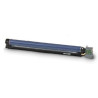 Kit Drum Reg Xerox Phaser 7800