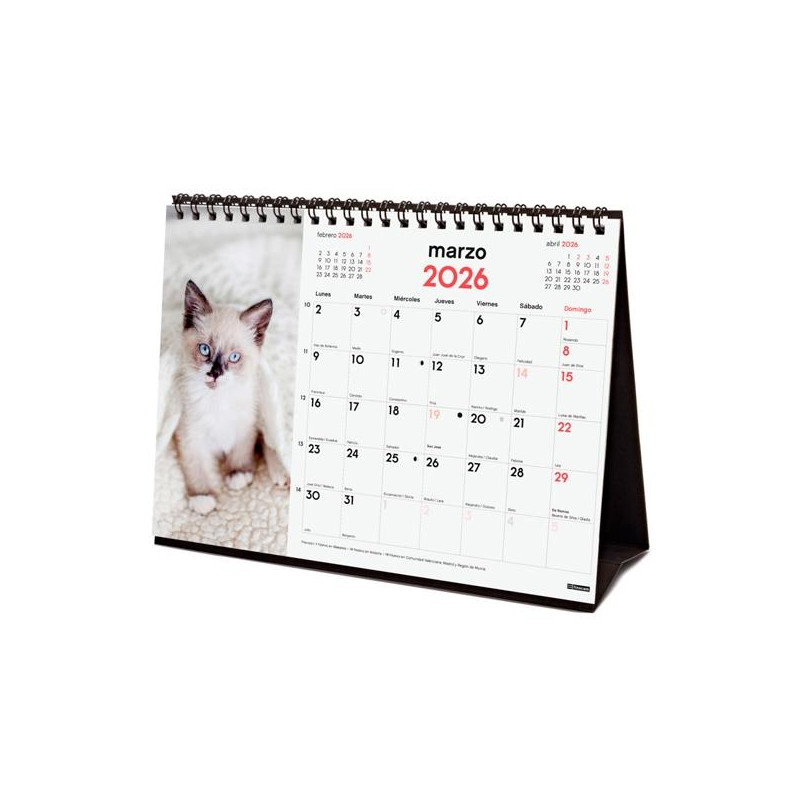 780323826 FINOCAM CALENDARIO DE SOBREMESA PARA ESCRIBIR S-210X150MM MV IMÁGENES GATITOS 2026