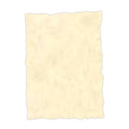 2604229 MICHEL PERGAMINO TROQUELADO 150GR A4 PACK 25U TOPACIO